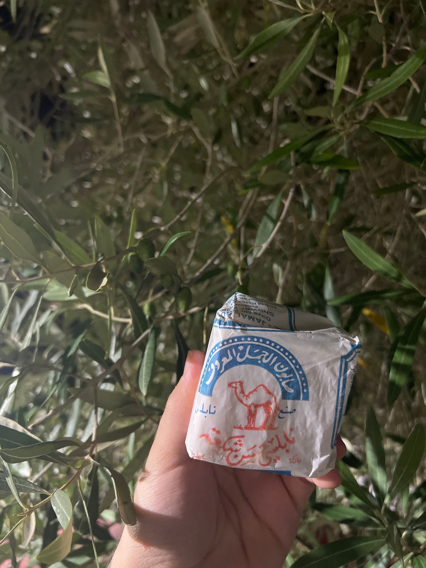 Al-Jamal Palestinian Olive Oil Soap, Handmade in Nablus palestine