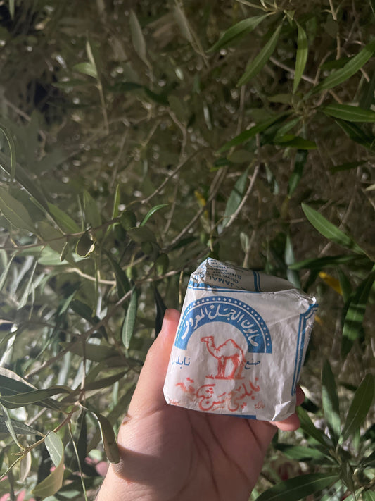 Al-Jamal Palestinian Olive Oil Soap, Handmade in Nablus palestine