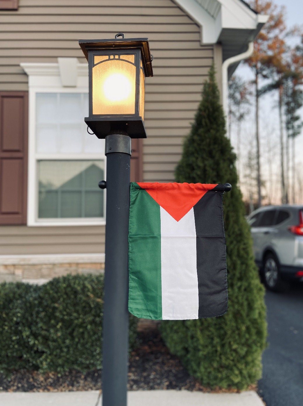 Palestine Flag , Free Palestine